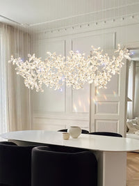 Luminance innovations