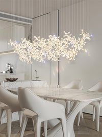 Luminance innovations 